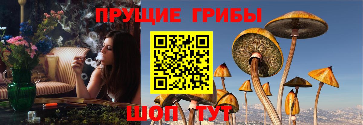 Зима  Псилоцибиновые грибы мухоморы  Вход с VPN 
