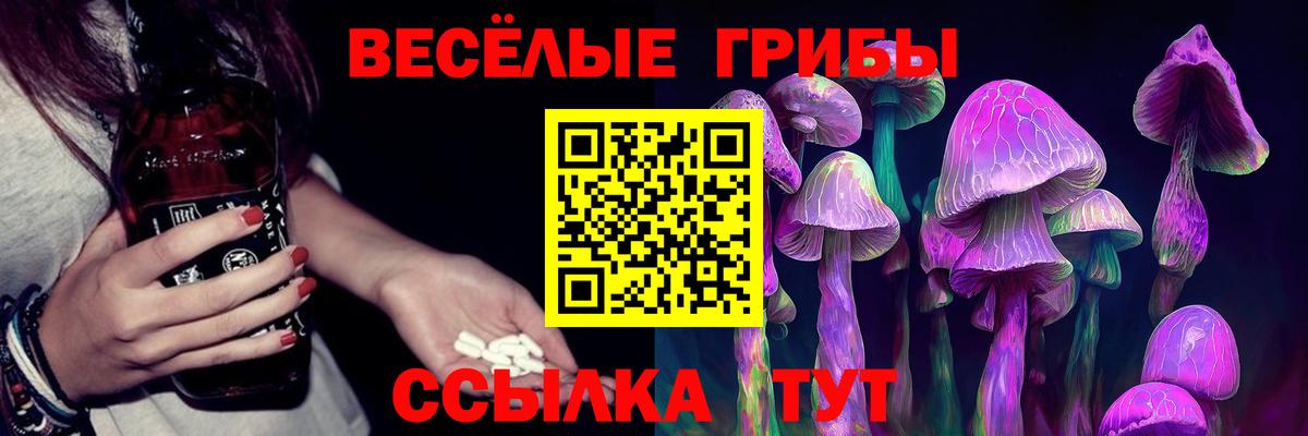 Псилоцибиновые грибы Magic Shrooms Зима